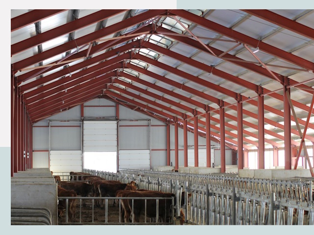 Строительство коровников в Чехове