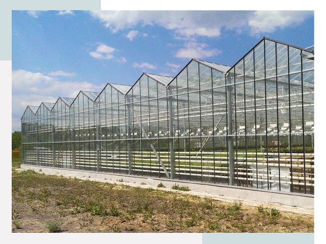 Строительство теплиц в Чехов от 610 руб. за м²